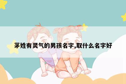 茅姓有灵气的男孩名字,取什么名字好